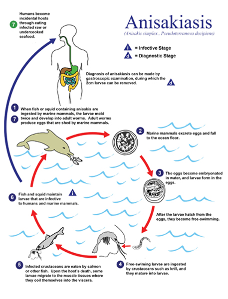 Fish Disease Chart