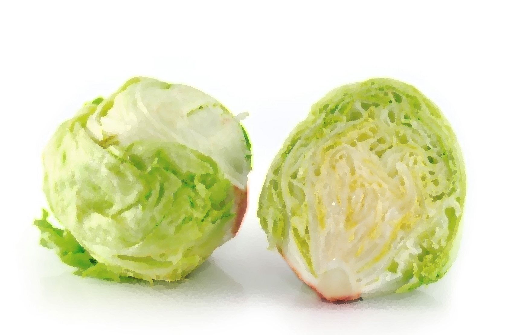 Just The Tip Of The Iceberg: A Few Facts On The Shortage of Kosher Iceberg Lettuce