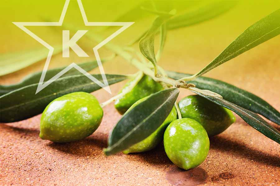 Greek Table Olives: Yaft Elokim L’Yefes Vishkon B’SHULCHONEI Shem