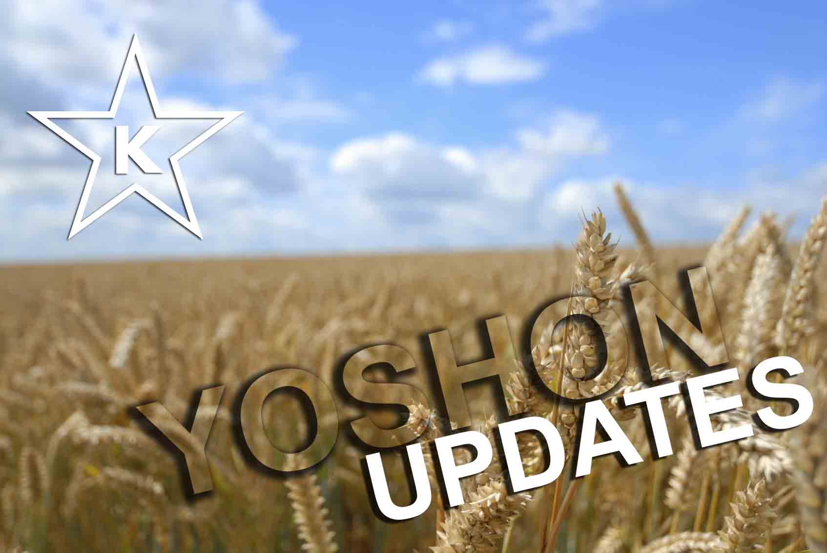 Yoshon & Pas Yisroel Guidelines