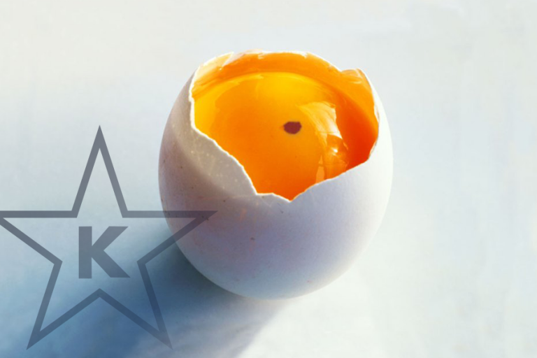 Spotlight on Eggs STARK Kosher Certification