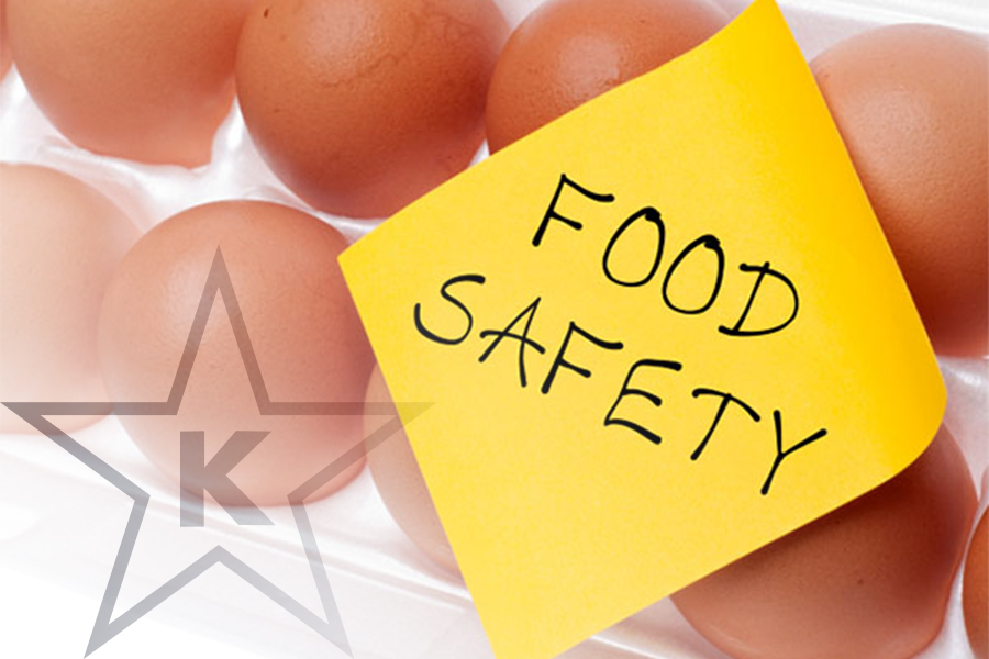 Danger-Sakana: Keeping Our Food Safe & Healthy