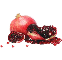 Rosh Hashana