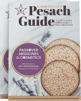 Passover Book