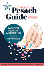 Digital Passover Book