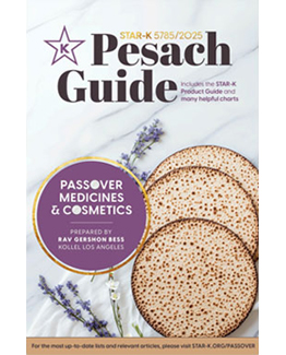 Digital Passover Book