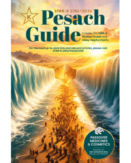Digital Passover Book