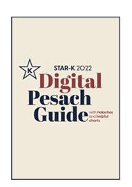 Digital Passover Book